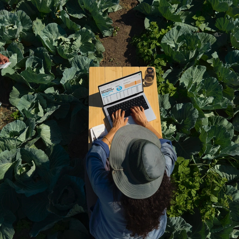 Apple MacBook Pro 16" (2024) 512Гб Серебристый (MX2U3) (M4 Pro 14-ядер CPU/20-ядер GPU, 48 ГБ, 512 ГБ SSD). Фото 8