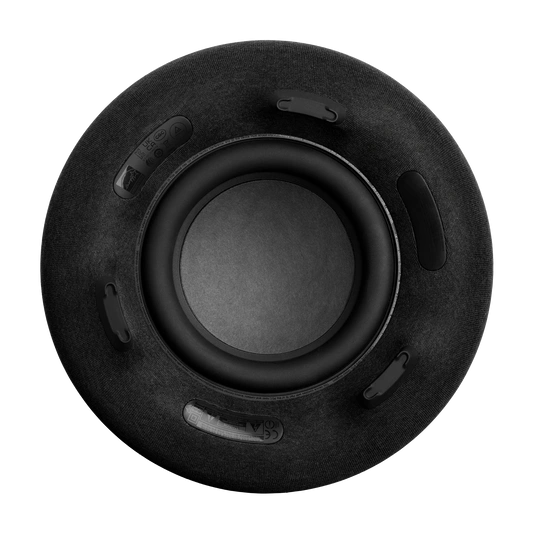 Акустическая система Harman/Kardon Aura Studio 4 Чёрная. Фото 5