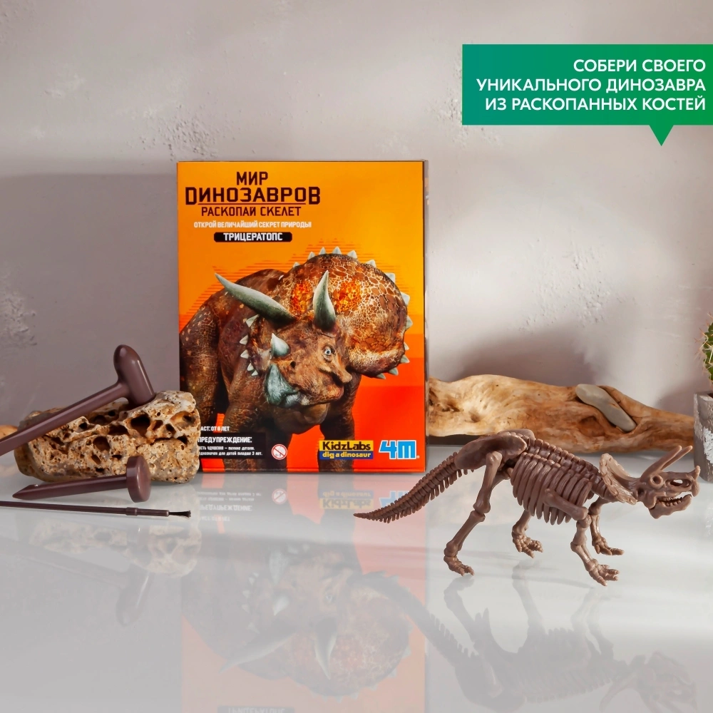 Набор 4M Скелет Трицератопса 00-03228. Фото 4