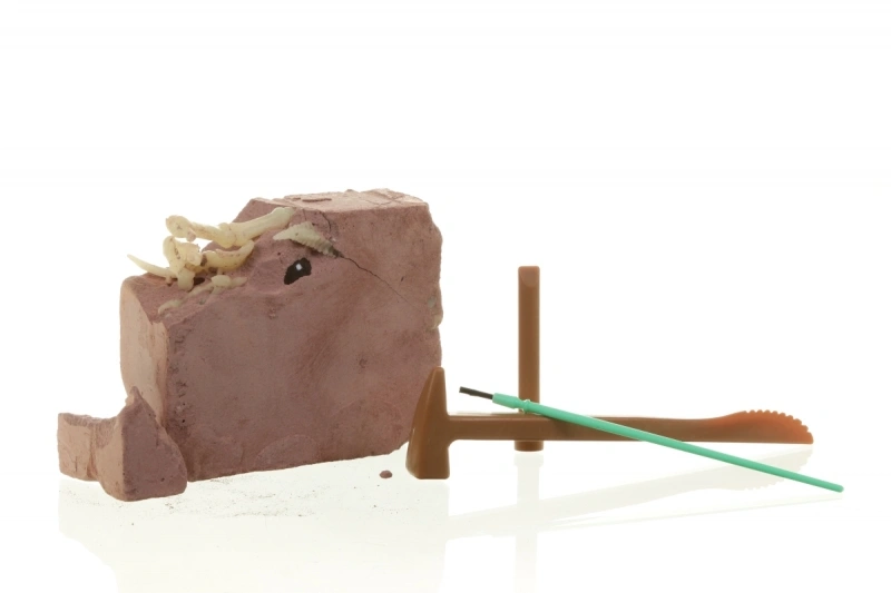 Набор 4M Оживи динозавра. ДНК Стегозавра (00-07004). Фото 4