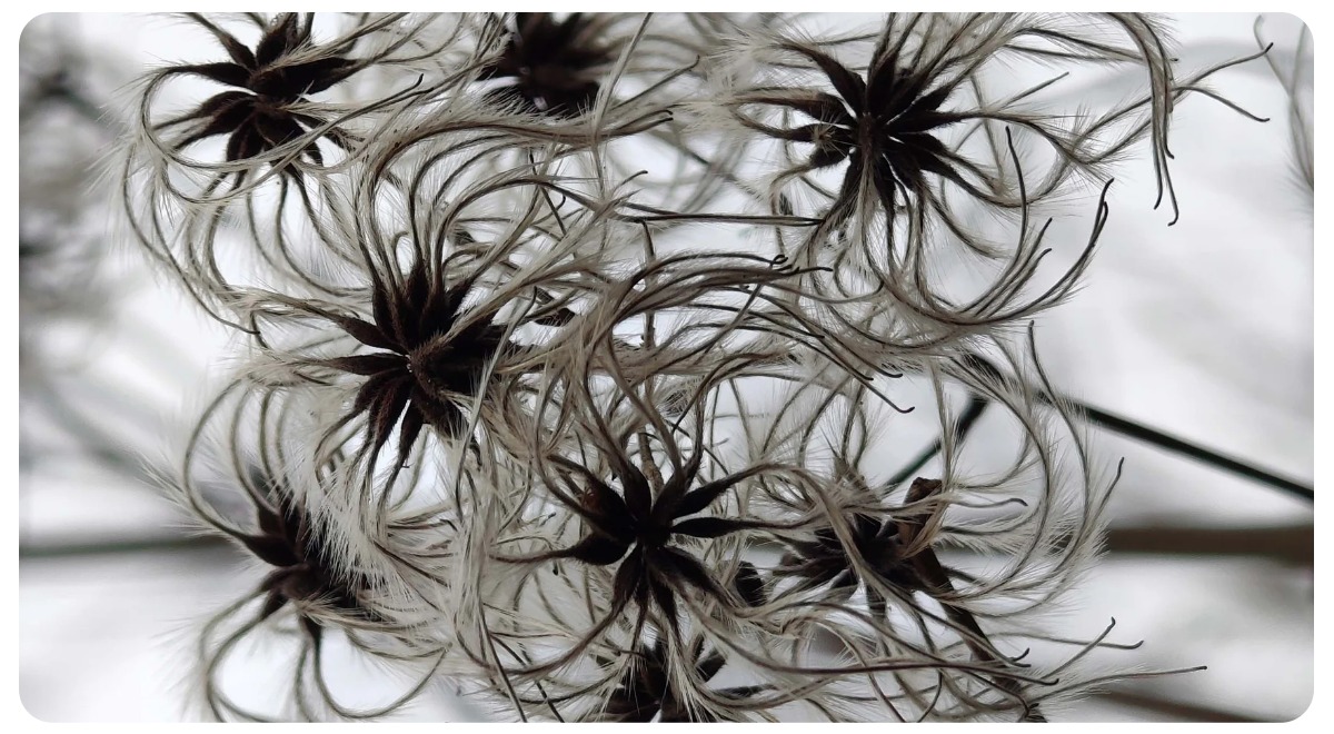 nothing-phone-3a-i-3a-pro-novye-10