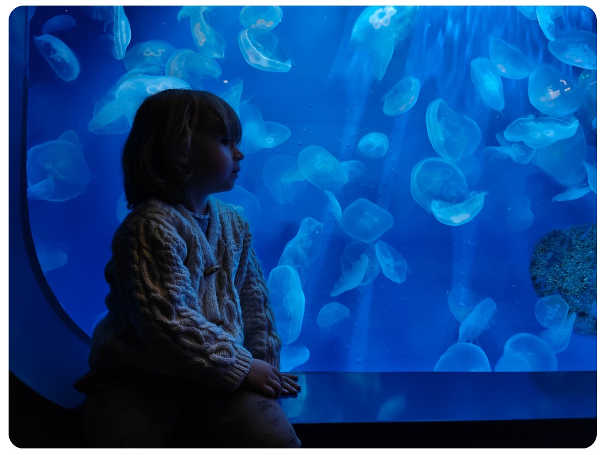 displey-i-proizvoditelnost-dlya-geymerov-realme-gt-6-i-gt-6t-05