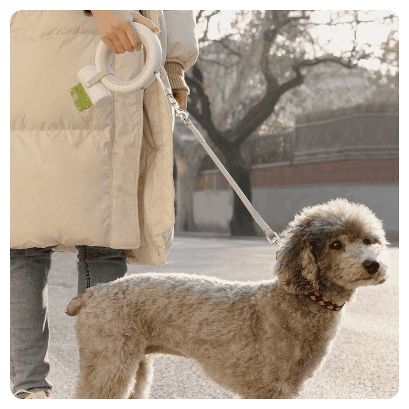 Moestar-Ufo-Retractable-Leash-2-Plus-03