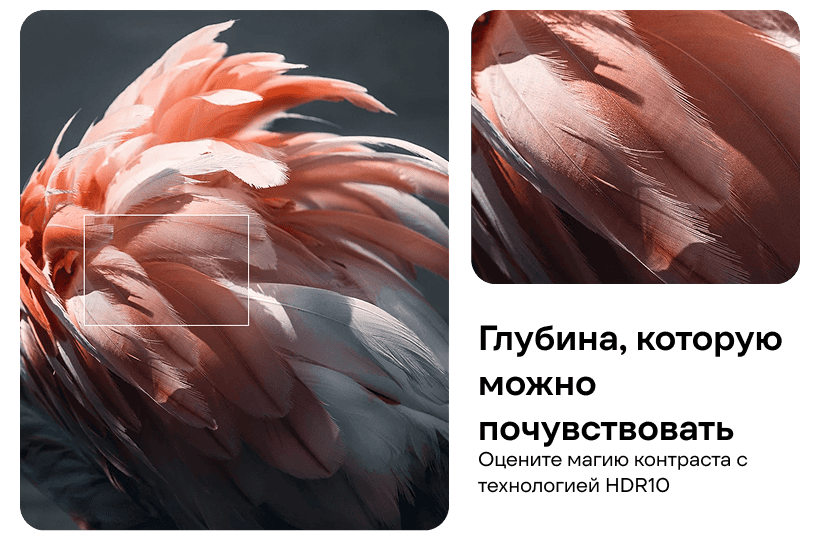 Xiaomi-TV-A-55-2025-04